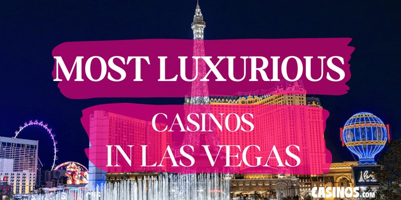 Discover lolajack casino login Discover lolajack casino login